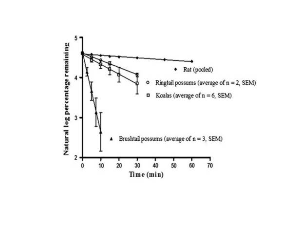 meloxicam-depletion-from-benjamins-thesis