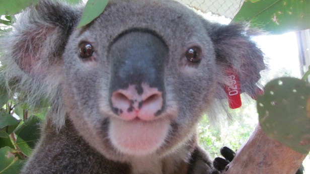 Download Chris camera 10 July 2017 1623