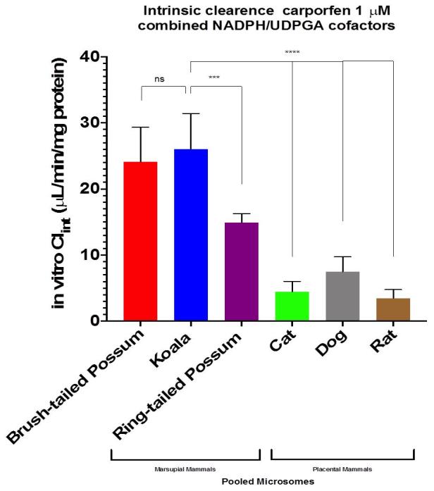 Carprofen invitro clearance figure