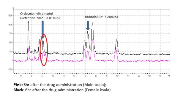 Tramadol graph fpr blog17012020